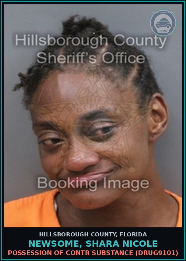 Booking mugshot of NEWSOME, SHARA NICOLE in Hillsborough County
