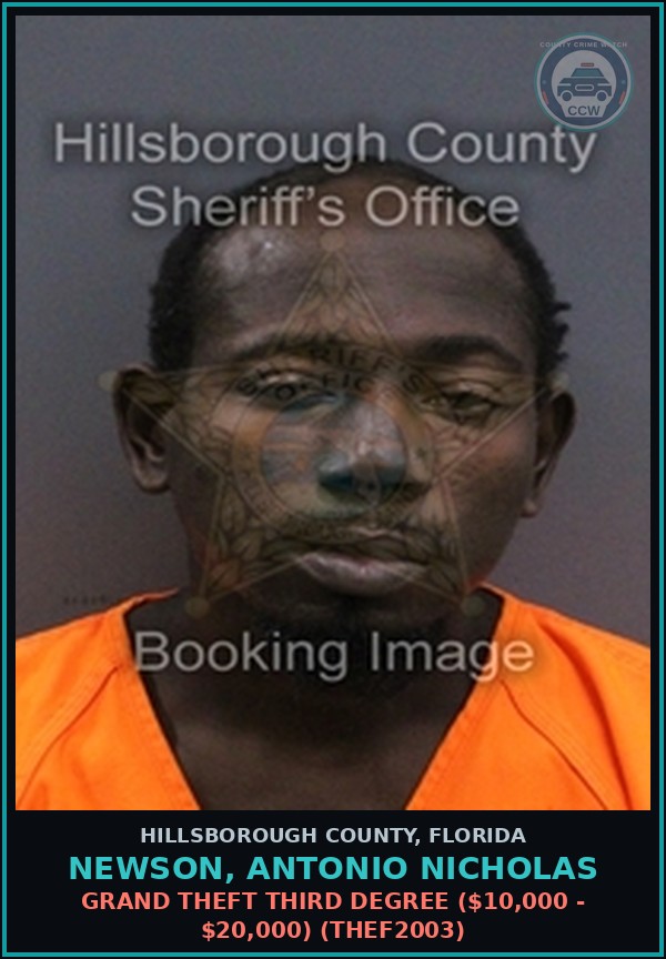 Booking mugshot of NEWSON, ANTONIO NICHOLAS in Hillsborough County