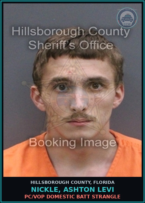 Booking mugshot of NICKLE, ASHTON LEVI in Hillsborough County