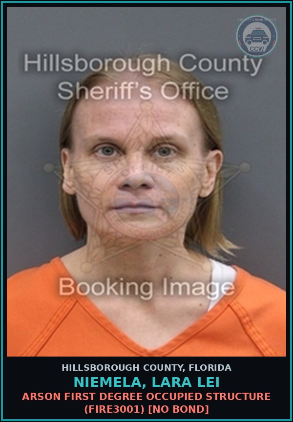 Booking mugshot of NIEMELA, LARA LEI in Hillsborough County