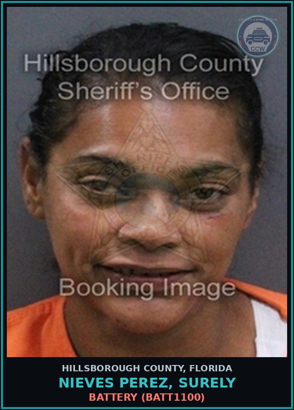 Booking mugshot of NIEVES PEREZ, SURELY in Hillsborough County