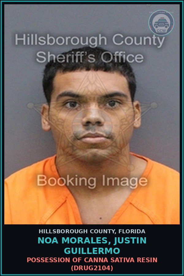Booking mugshot of NOA MORALES, JUSTIN GUILLERMO in Hillsborough County