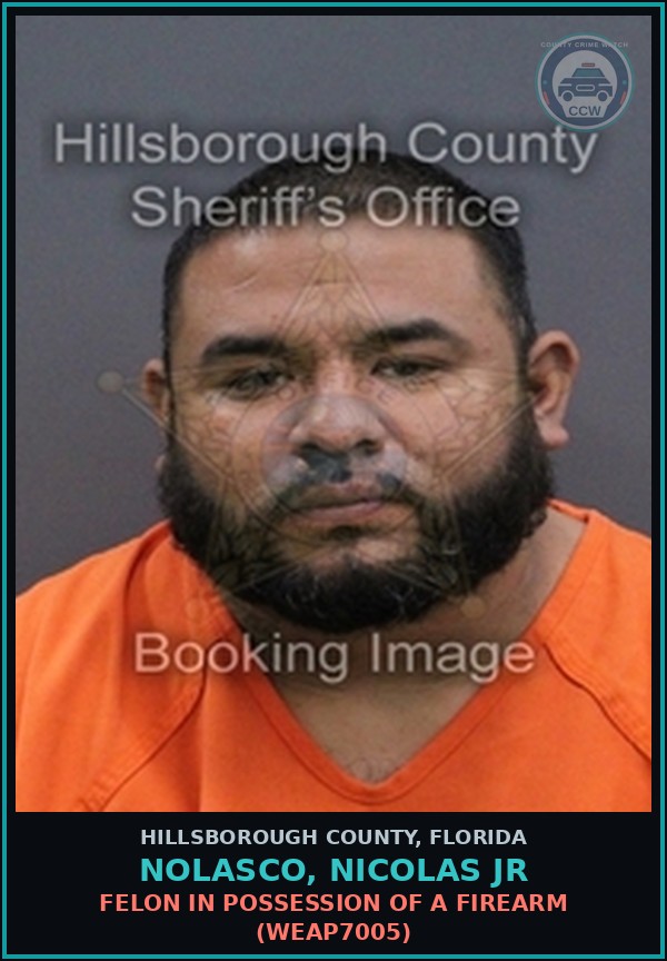 Booking mugshot of NOLASCO, NICOLAS JR in Hillsborough County