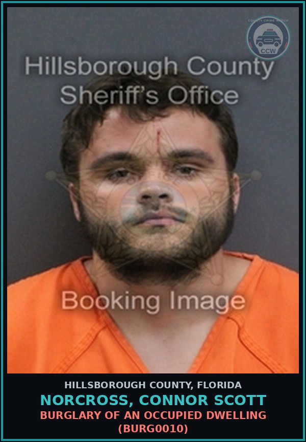 Booking mugshot of NORCROSS, CONNOR SCOTT in Hillsborough County