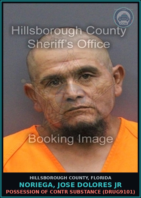 Booking mugshot of NORIEGA, JOSE DOLORES JR in Hillsborough County