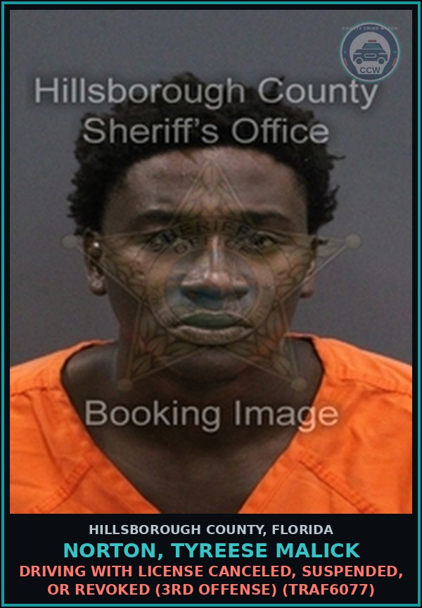 Booking mugshot of NORTON, TYREESE MALICK in Hillsborough County
