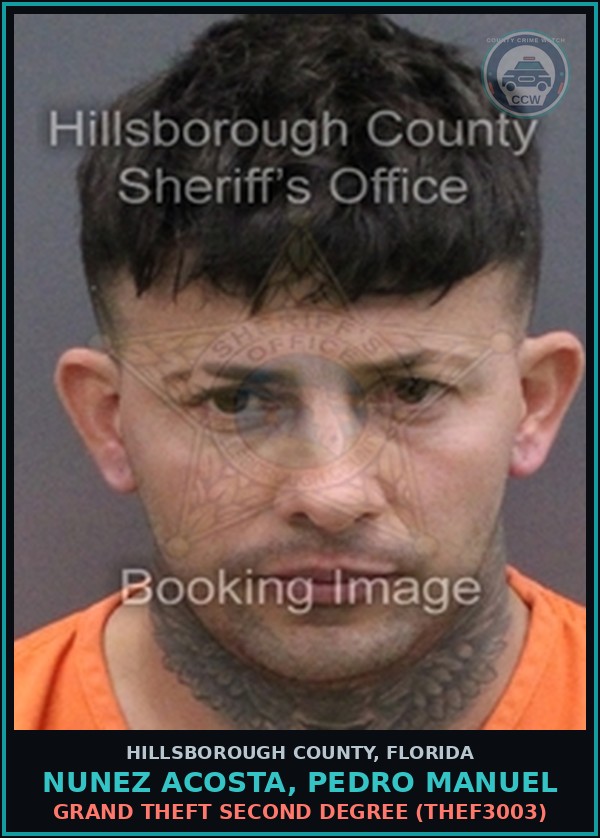 Booking mugshot of NUNEZ ACOSTA, PEDRO MANUEL in Hillsborough County