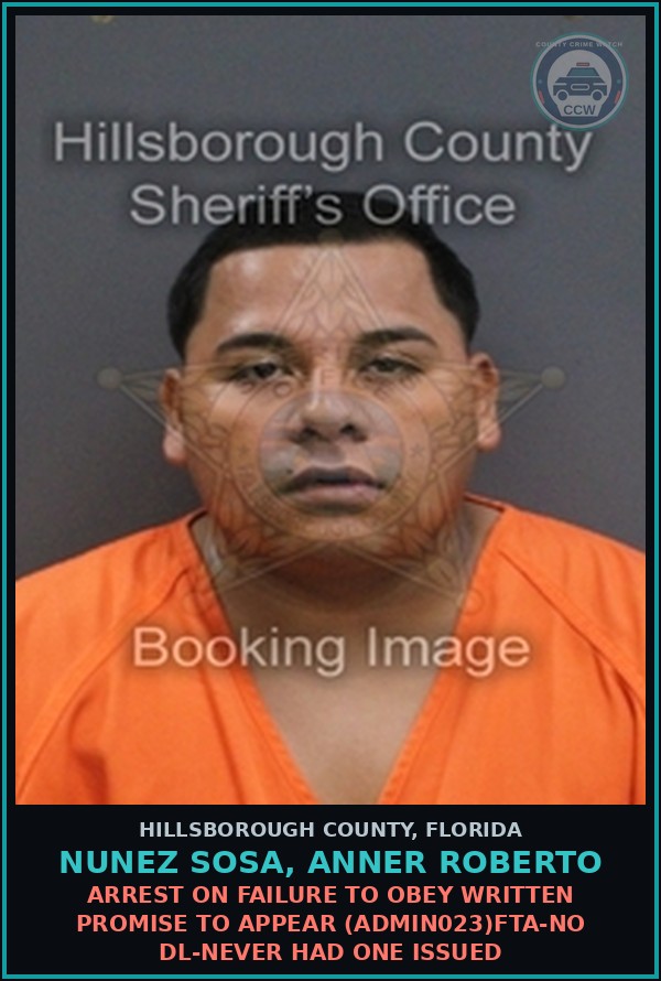 Booking mugshot of NUNEZ SOSA, ANNER ROBERTO in Hillsborough County