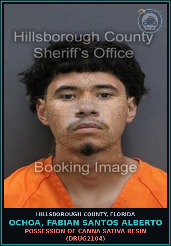 Booking mugshot of OCHOA, FABIAN SANTOS ALBERTO in Hillsborough County