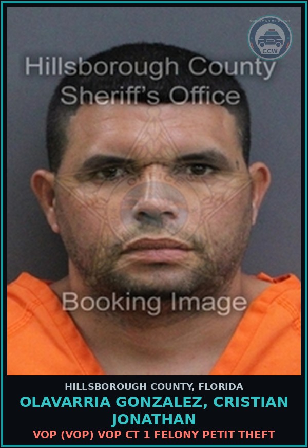 Booking mugshot of OLAVARRIA GONZALEZ, CRISTIAN JONATHAN in Hillsborough County