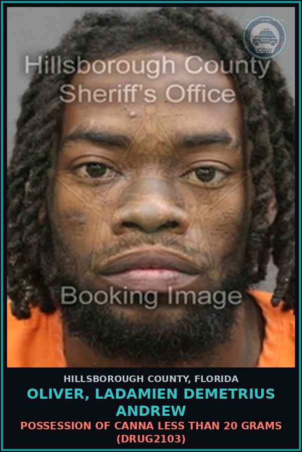 Booking mugshot of OLIVER, LADAMIEN DEMETRIUS ANDREW in Hillsborough County