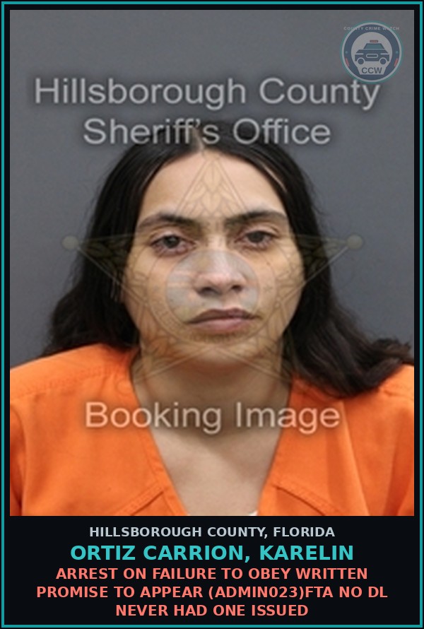 Booking mugshot of ORTIZ CARRION, KARELIN in Hillsborough County