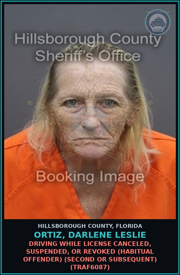 Booking mugshot of ORTIZ, DARLENE LESLIE in Hillsborough County