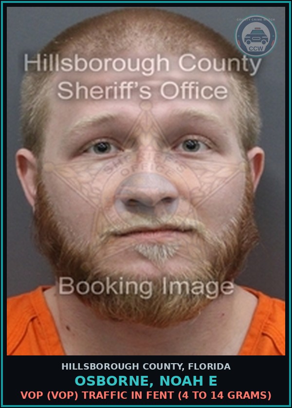 Booking mugshot of OSBORNE, NOAH E in Hillsborough County