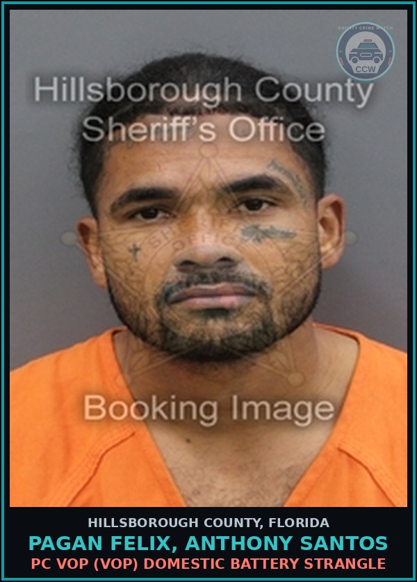 Booking mugshot of PAGAN FELIX, ANTHONY SANTOS in Hillsborough County