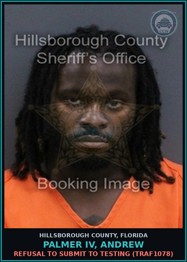 Booking mugshot of PALMER IV, ANDREW in Hillsborough County