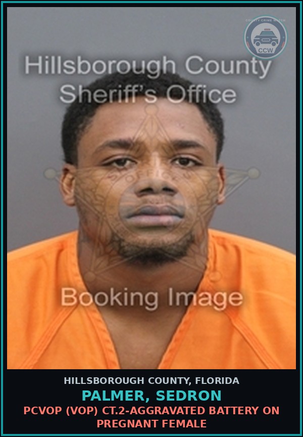 Booking mugshot of PALMER, SEDRON in Hillsborough County