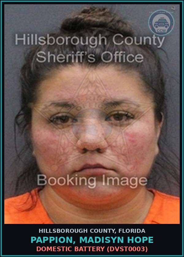 Booking mugshot of PAPPION, MADISYN HOPE in Hillsborough County