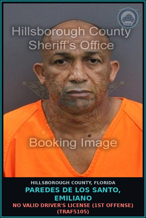 Booking mugshot of PAREDES DE LOS SANTO, EMILIANO in Hillsborough County