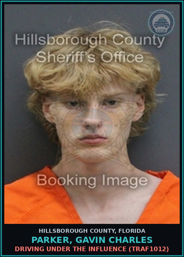 Booking mugshot of PARKER, GAVIN CHARLES in Hillsborough County