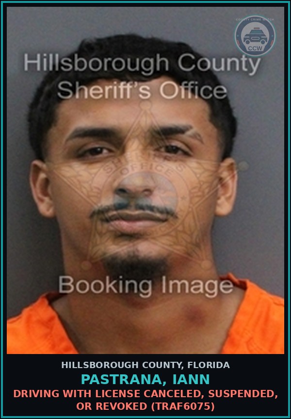 Booking mugshot of PASTRANA, IANN in Hillsborough County