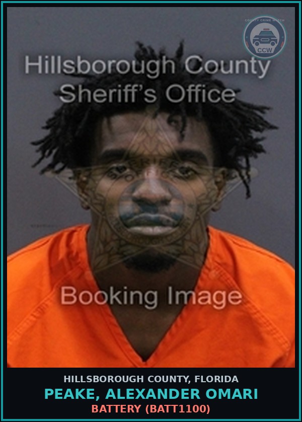 Booking mugshot of PEAKE, ALEXANDER OMARI in Hillsborough County