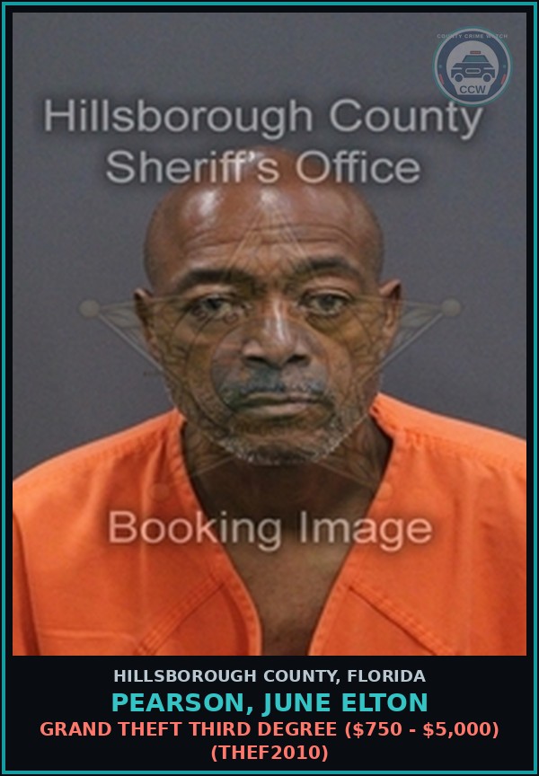 Booking mugshot of PEARSON, JUNE ELTON in Hillsborough County