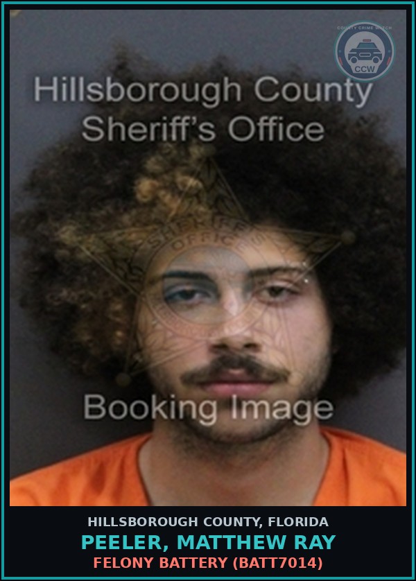 Booking mugshot of PEELER, MATTHEW RAY in Hillsborough County