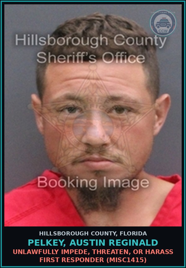 Booking mugshot of PELKEY, AUSTIN REGINALD in Hillsborough County