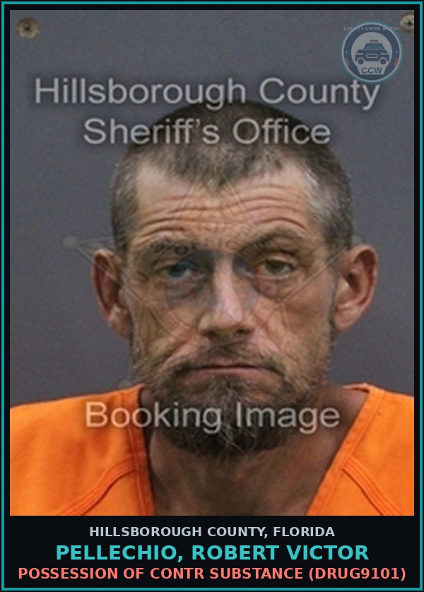 Booking mugshot of PELLECHIO, ROBERT VICTOR in Hillsborough County