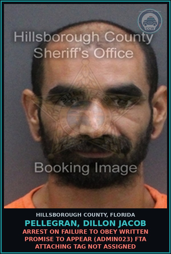Booking mugshot of PELLEGRAN, DILLON JACOB in Hillsborough County