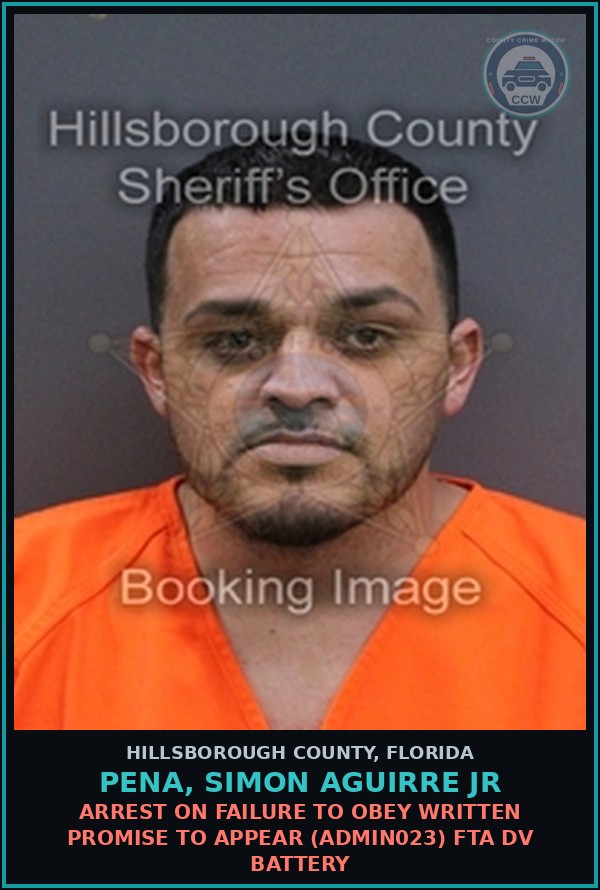 Booking mugshot of PENA, SIMON AGUIRRE JR in Hillsborough County