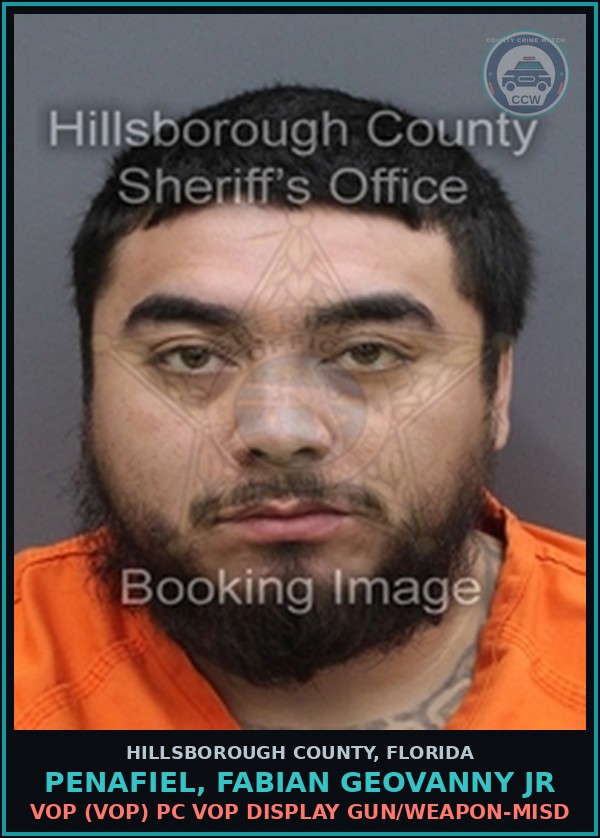 Booking mugshot of PENAFIEL, FABIAN GEOVANNY JR in Hillsborough County