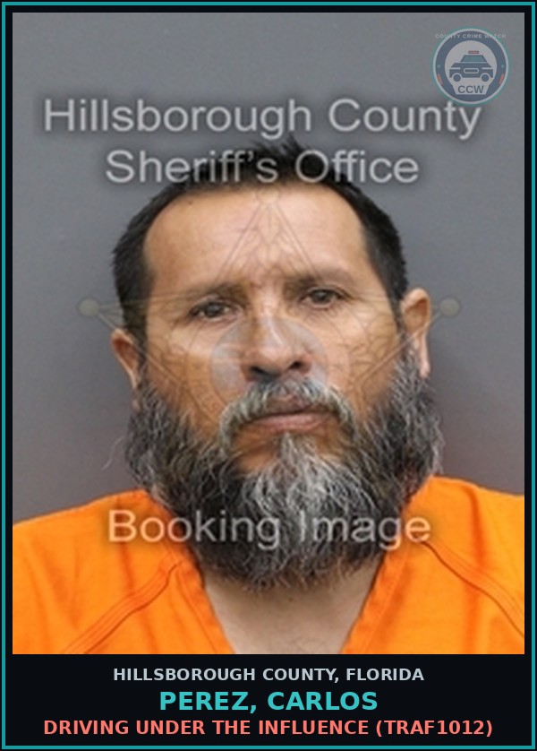 Booking mugshot of PEREZ, CARLOS in Hillsborough County