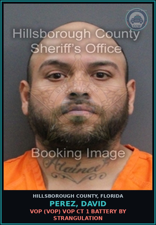 Booking mugshot of PEREZ, DAVID in Hillsborough County