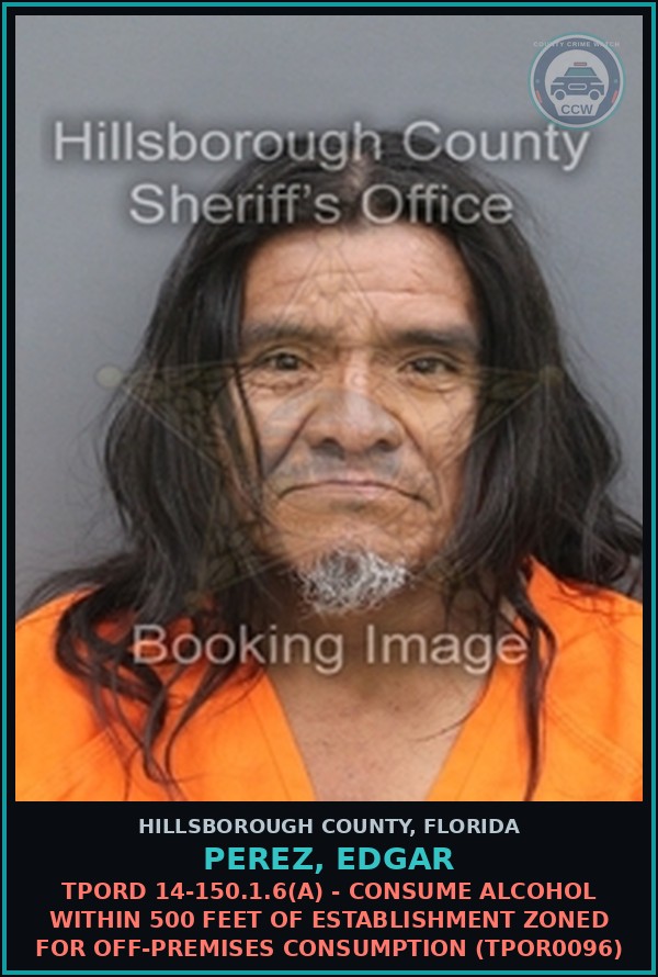 Booking mugshot of PEREZ, EDGAR in Hillsborough County