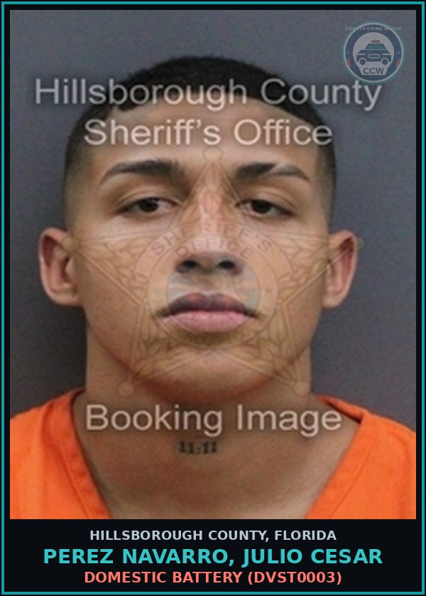 Booking mugshot of PEREZ NAVARRO, JULIO CESAR in Hillsborough County