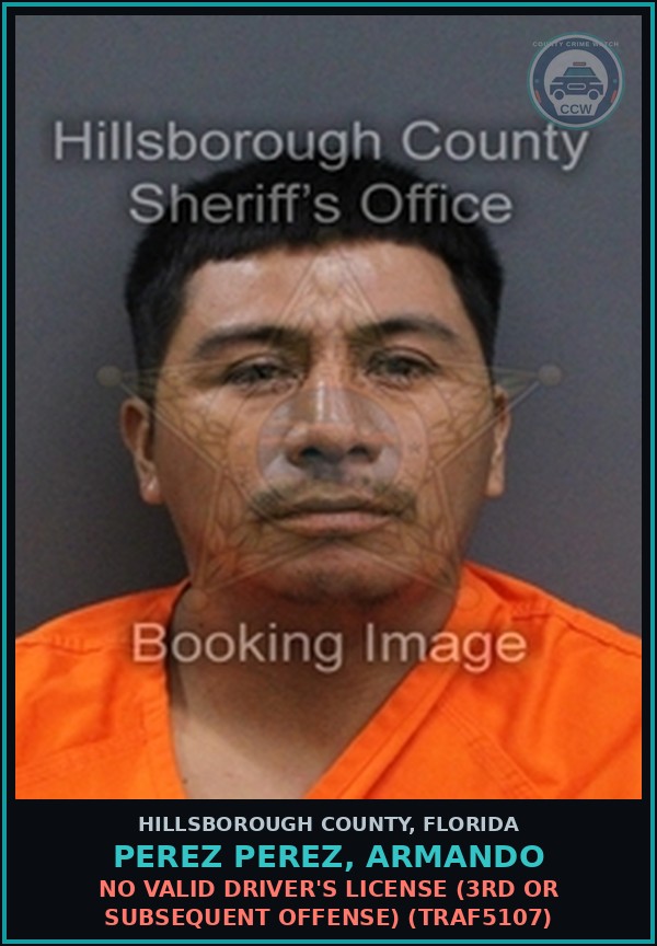 Booking mugshot of PEREZ PEREZ, ARMANDO in Hillsborough County
