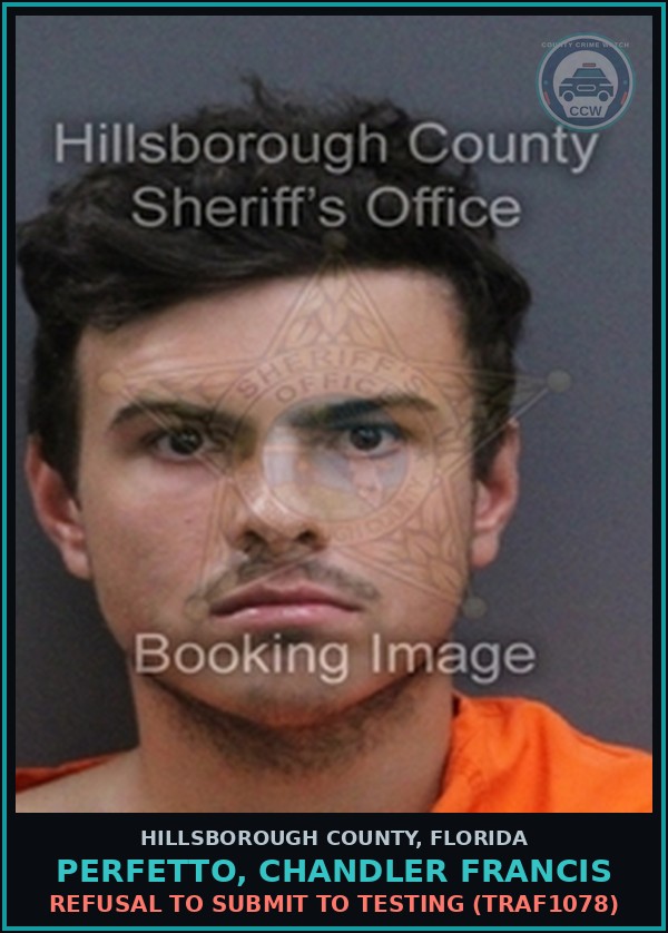 Booking mugshot of PERFETTO, CHANDLER FRANCIS in Hillsborough County