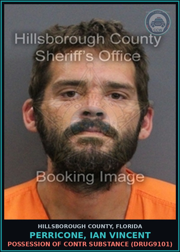 Booking mugshot of PERRICONE, IAN VINCENT in Hillsborough County