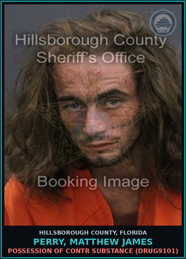 Booking mugshot of PERRY, MATTHEW JAMES in Hillsborough County