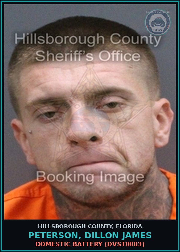 Booking mugshot of PETERSON, DILLON JAMES in Hillsborough County