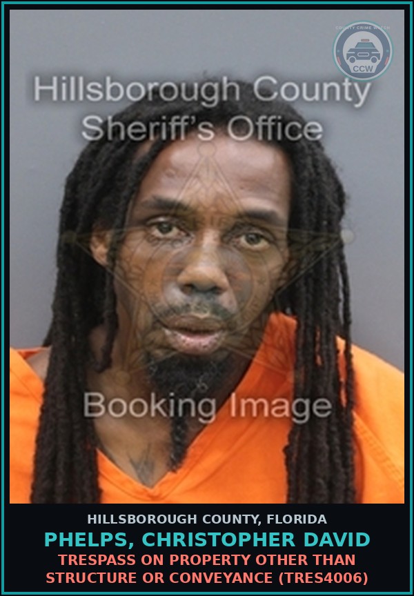 Booking mugshot of PHELPS, CHRISTOPHER DAVID in Hillsborough County