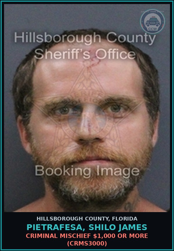 Booking mugshot of PIETRAFESA, SHILO JAMES in Hillsborough County