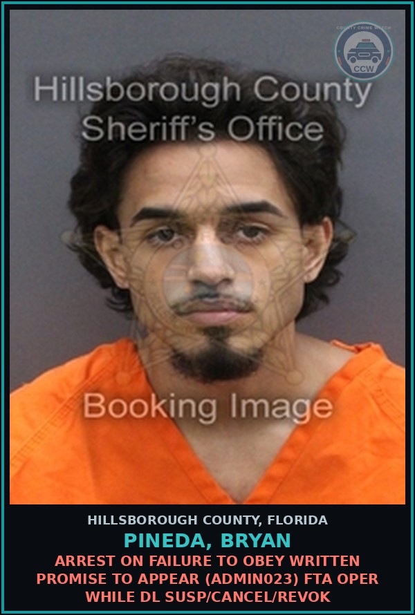 Booking mugshot of PINEDA, BRYAN in Hillsborough County
