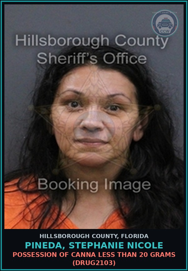 Booking mugshot of PINEDA, STEPHANIE NICOLE in Hillsborough County