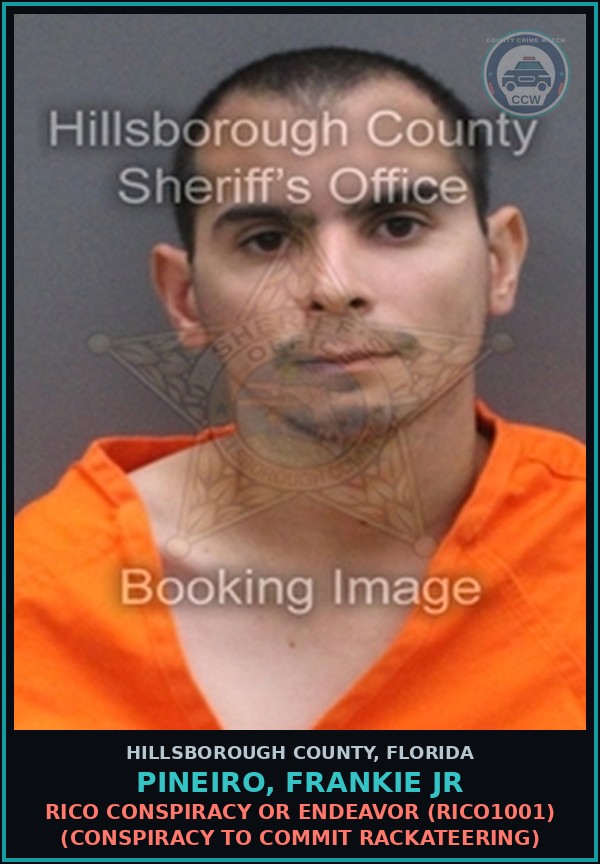 Booking mugshot of PINEIRO, FRANKIE JR in Hillsborough County