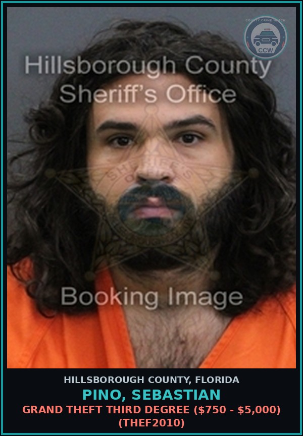 Booking mugshot of PINO, SEBASTIAN in Hillsborough County