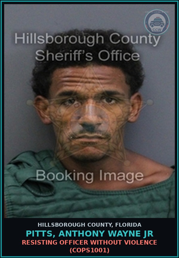 Booking mugshot of PITTS, ANTHONY WAYNE JR in Hillsborough County