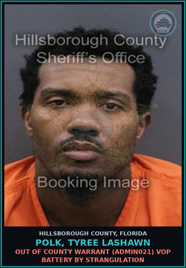 Booking mugshot of POLK, TYREE LASHAWN in Hillsborough County